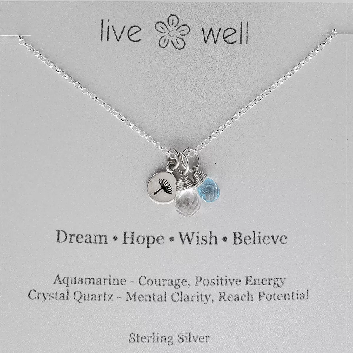 Dream, Hope, Wish, Believe Necklace By Live Well