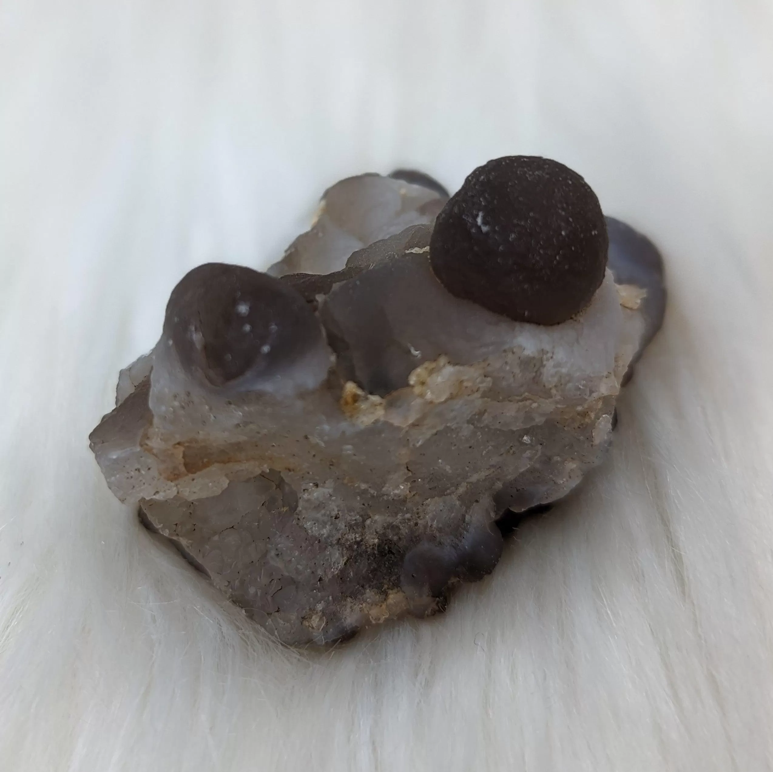 Truffle Chalcedony Specimens ~ Small Specimens from Morocco