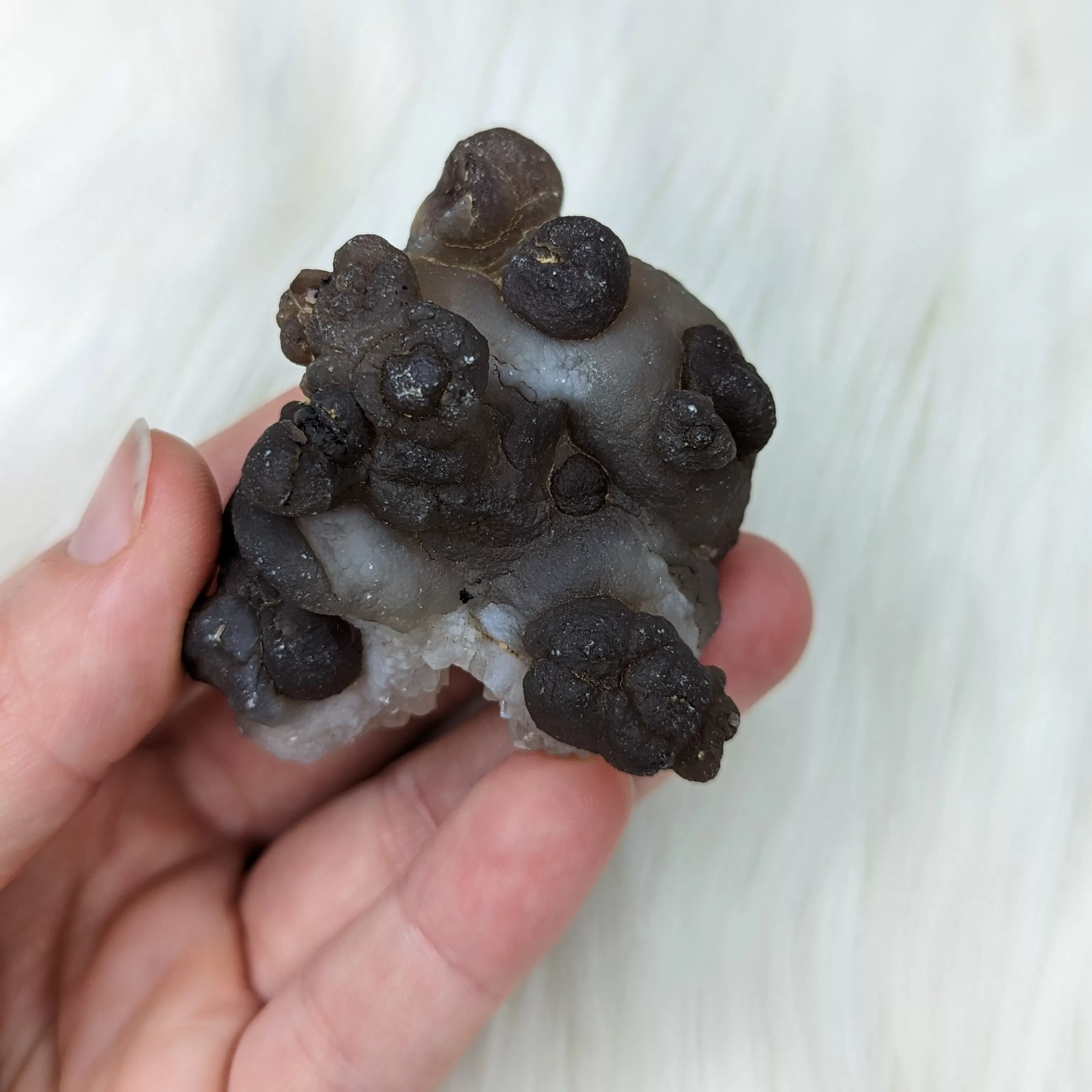 Truffle Chalcedony Specimens ~ Small Specimens from Morocco