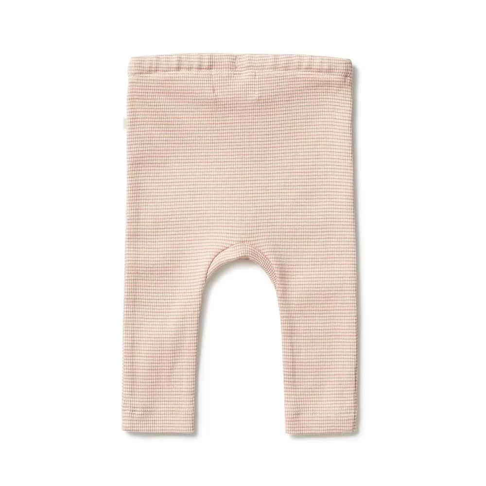 Wilson & Frenchy | Rose organic stripe rib legging